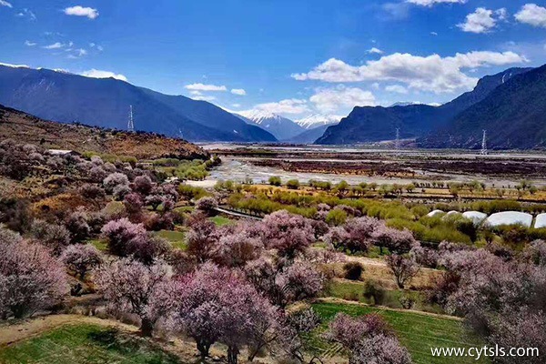 嘎拉桃花村