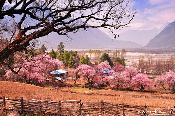 林芝旅游季節(jié)