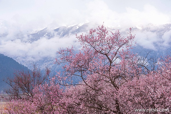 西藏旅游季節(jié)