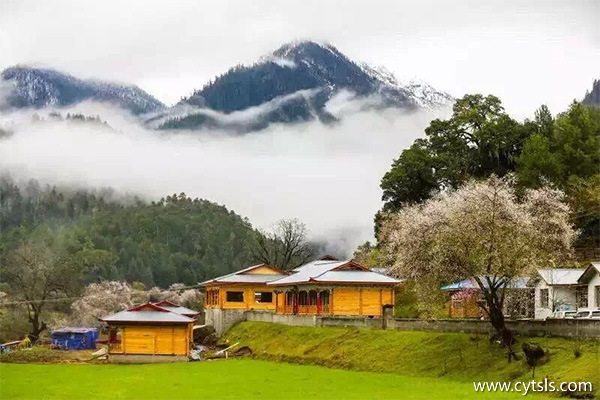 去西藏旅游