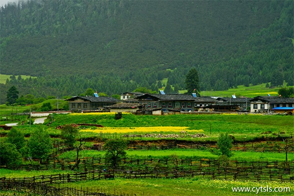 西藏旅游跟團(tuán)游好