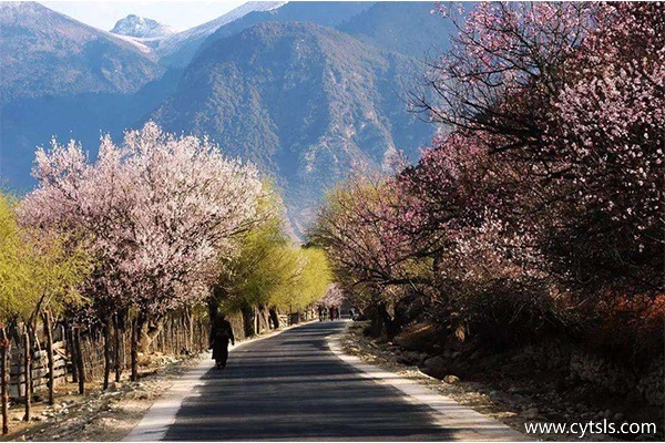 西藏旅游推薦景點(diǎn)