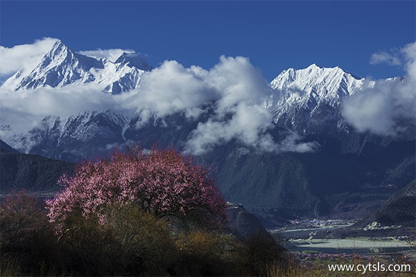 西藏的著名景點