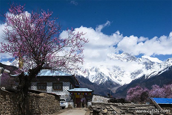 喜歡去的西藏旅游景點