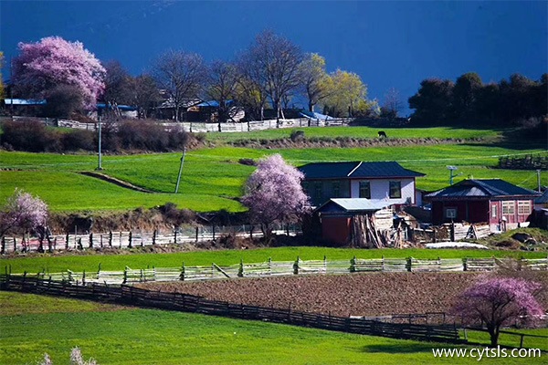 去西藏旅游幾月份