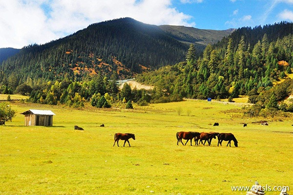 西藏旅游需要準(zhǔn)備什么