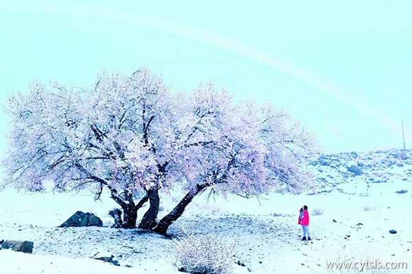 西藏旅游適合幾月份去