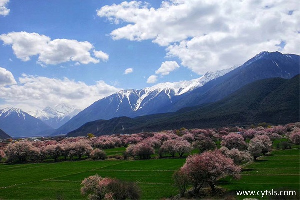 三月份去西藏旅游