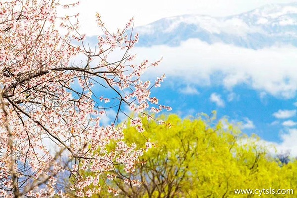 去一趟西藏要花多少錢