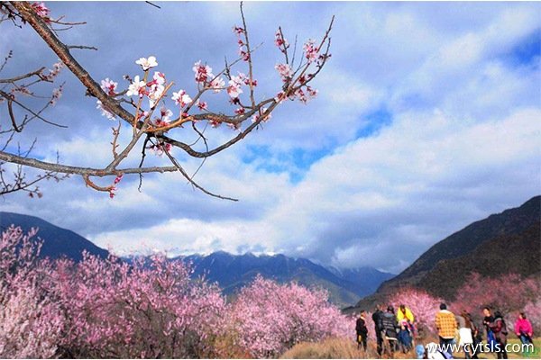 四月份西藏林芝旅游路線