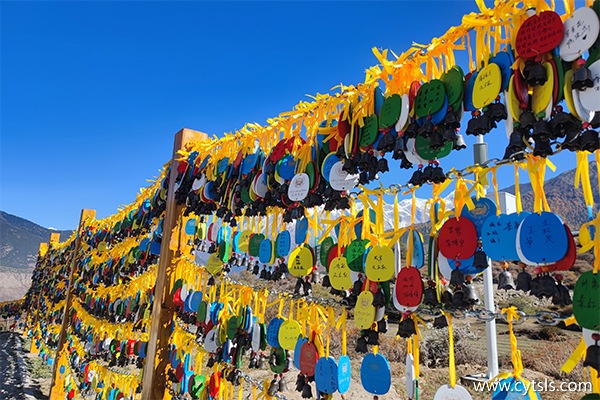 去西藏旅游玩10天