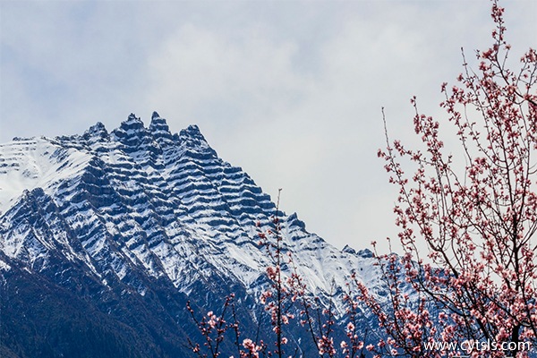 去西藏旅游多少錢