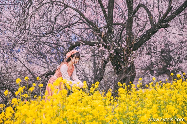 西藏桃花節(jié)幾月幾日