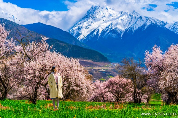 西藏旅游