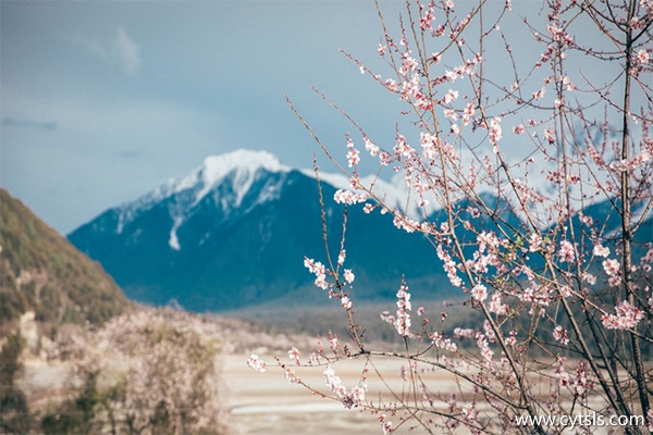 幾月份去西藏旅游