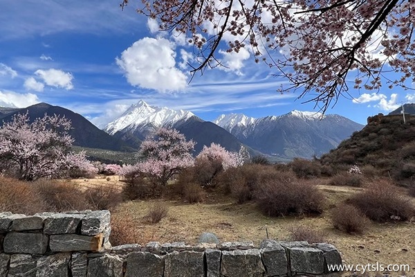 西藏適合旅游幾天