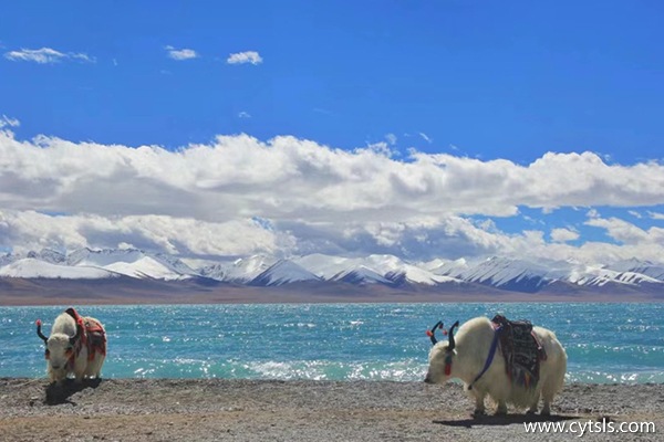 多少錢夠在西藏旅游8天