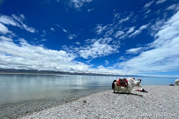 6月跟團去西藏旅游多少錢