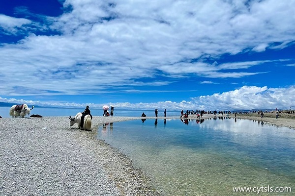 八月份去西藏旅游攻略