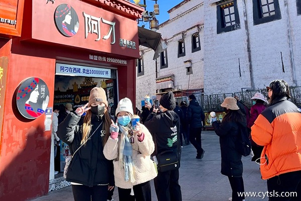 從珠海去西藏旅游大概多少錢