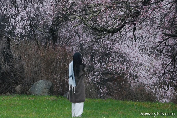 3月林芝游玩攻略