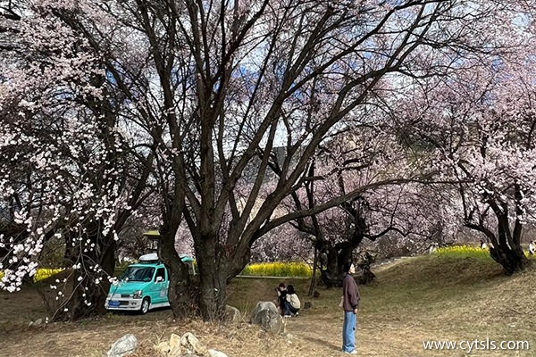 去西藏旅游幾月份去最好