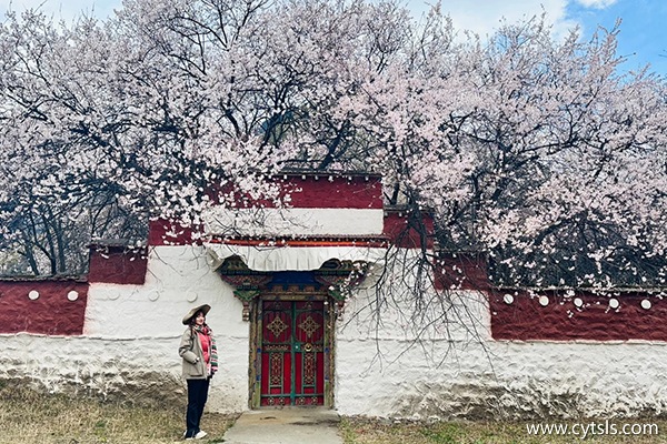 3月去西藏跟團旅行7天路線推薦