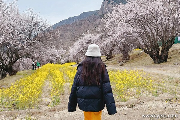 四月花3000跟團西藏旅游夠嗎