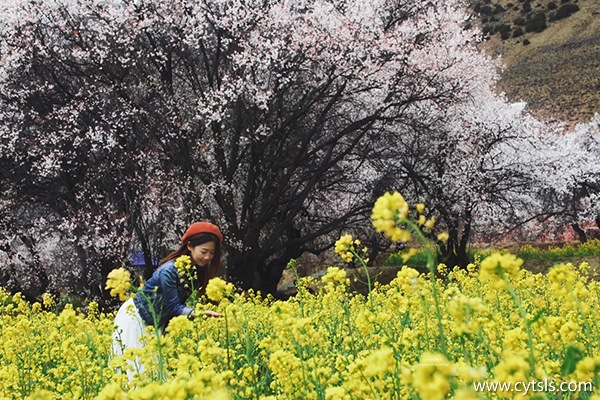 三月下旬林芝天氣怎么樣