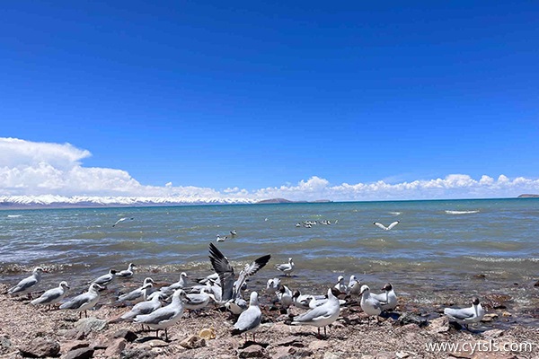 進藏旅游一周需要準備什么