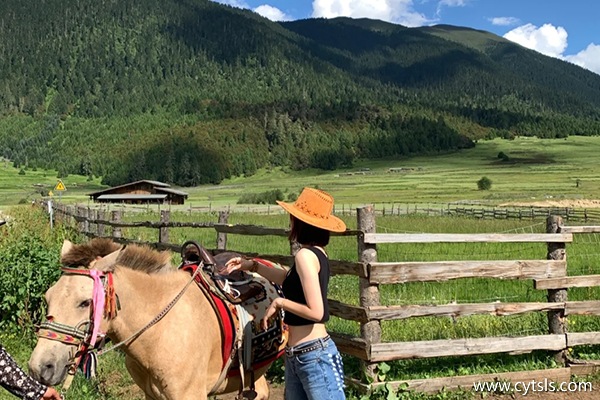 八月西藏旅游7天帶幾套衣服