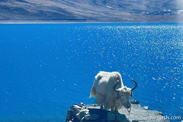 一周的西藏旅游怎么規(guī)劃